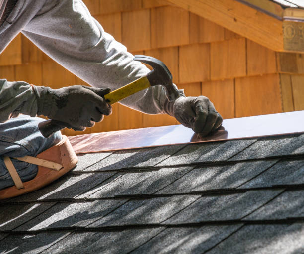 Best Roof Gutter Cleaning  in Millersburg, OH